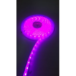 24V Şerit LED - 5050 Çip - Pembe Işık - IP65 Su Geçirmez 5 Metre Aydınlatma