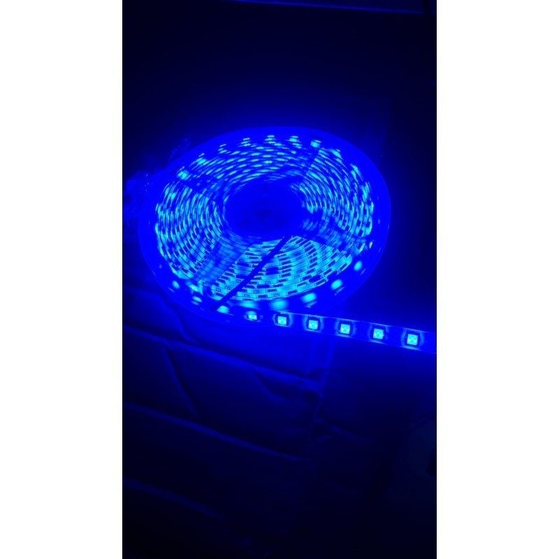 Dış Mekan Şerit LED 12V – Mavi Işık, IP65 Su Geçirmez, 5050 Çip, 5 Metre