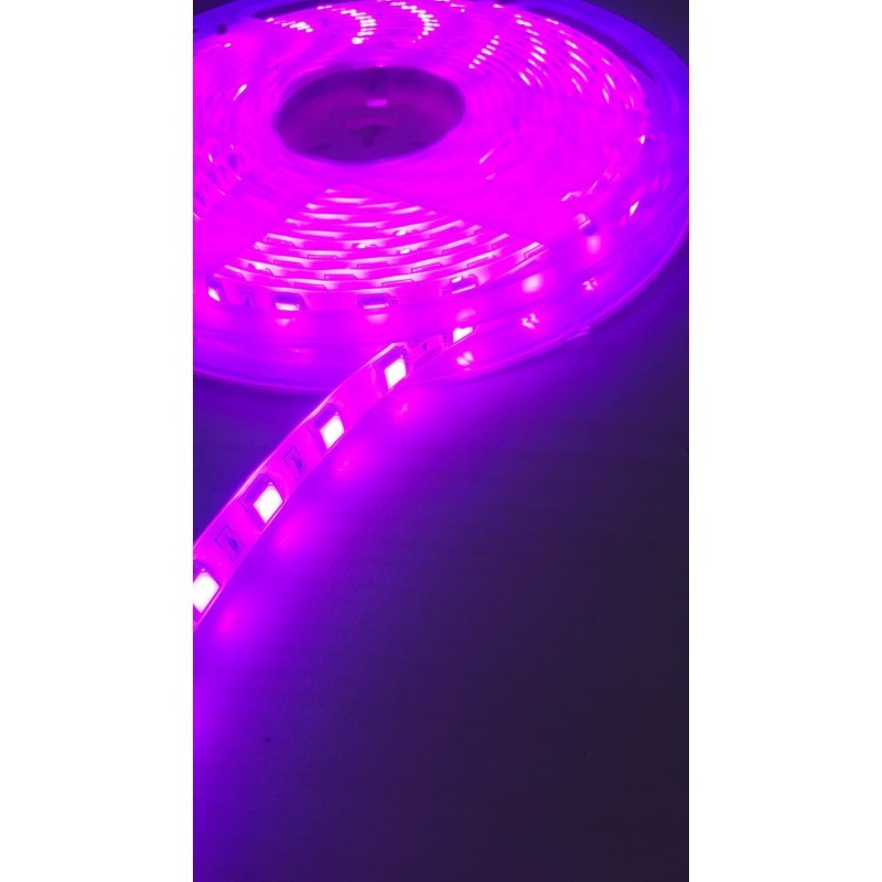 Dış Mekan Şerit LED 12V – Pembe Işık, IP65 Su Geçirmez, 5050 Çip, 5 Metre