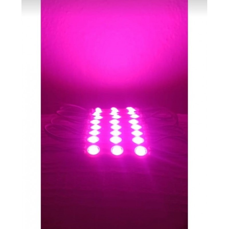 Toptan 12V 1.2W Eko Modül LED – Tabela & Kutu Harf (Pembe) (10Adet)